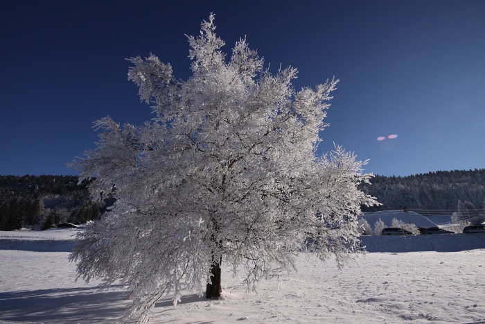 Lac de Joux - 016